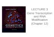 LECTURE 3 Gene Transcription and RNA Modification (Chapter 12)