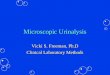 Microscopic Urinalysis Vicki S. Freeman, Ph.D Clinical Laboratory Methods
