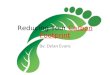 Reducing Your Carbon Footprint By: Dylan Evans. What is a carbon Footprint? A carbon footprint is how much total greenhouse gas an organization, or even