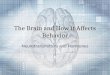 The Brain and How it Affects Behavior Neurotransmitters and Hormones