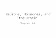 Neurons, Hormones, and the Brain Chapter #4. Overview The nervous system Communication in the nervous system Mapping the brain A tour through the brain
