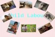 Child Labour. Content Page What is Child Labour?What is Child Labour? Examples of Child LabourExamples of Child Labour Example of CountriesExample of