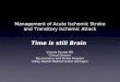 Time is still Brain Victoria Parada MD Clinical Director Neuroscience and Stroke Program Valley Baptist Medical Center Harlingen Management of Acute Ischemic