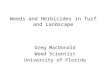 Weeds and Herbicides in Turf and Landscape Greg MacDonald Weed Scientist University of Florida
