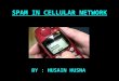 SPAM IN CELLULAR NETWORK BY : HUSAIN HUSNA. ** INTRODUCTION ** Cellular networks are a critical component of the economic and social infrastructures in