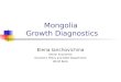 Mongolia Growth Diagnostics Elena Ianchovichina Senior Economist Economic Policy and Debt Department World Bank