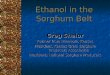 Ethanol in the Sorghum Belt Greg Shelor Farmer from Minneola, Kansas President, Kansas Grain Sorghum Producers Association President, National Sorghum