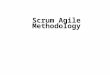 Scrum Agile Methodology.  The Agile Manifesto doesn’t provide concrete steps.  Organizations usually seek more specific methods within the Agile movement