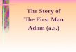 The Story of The First Man Adam (a.s.). From the Bible’s Perspective View