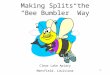1 Making Splits the “Bee Bumbler” Way Clear Lake Apiary Mansfield, Louisiana