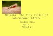 Malaria: The Tiny Killer of sub- Saharan Africa Candace Hino Myers Period 2