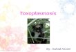 Toxoplasmosis By : Suhad Azzam. Toxoplasmosis Toxoplasmosis is one of the zoonotic diseases. Etiologic agent = Toxoplasma gondii
