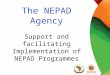 Support and facilitating Implementation of NEPAD Programmes The NEPAD Agency Support and facilitating Implementation of NEPAD Programmes