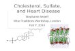 Cholesterol, Sulfate, and Heart Disease Stephanie Seneff Wise Traditions Workshop, London Feb 9, 2014