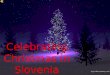 Celebrating Christmas in Slovenia. DECEMBER In Ljubljana and other Slovenian towns there are stands which sell things like candies, winter clothing, food,