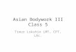 Asian Bodywork III Class 5 Timur Lokshin LMT, CPT, LAc