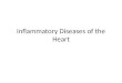 Inflammatory Diseases of the Heart. Objectives Describe inflammatory disorders of the cardiovascular system Explain the pathophysiology of common inflammatory