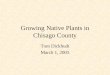 Growing Native Plants in Chisago County Tom Dickhudt March 1, 2005