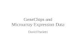 GeneChips and Microarray Expression Data David Paoletti