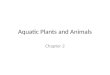 Aquatic Plants and Animals Chapter 2. US Aquatic Plant Species Important in Asia Europe and North America are dead last in plant production Cultivate