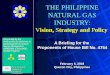 THE PHILIPPINE NATURAL GAS INDUSTRY: Vision, Strategy and Policy A Briefing for the Proponents of House Bill No. 4754 A Briefing for the Proponents of