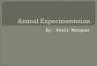 By: Anali Marquez.  There has been a huge debate whether we should keep testing on animals for the benefit medical research. Or abolish the torturing