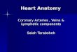 Heart Anatomy Coronary Arteries, Veins & Lymphatic components Salah Tarabsheh