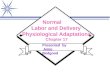Normal Labor and Delivery Physiological Adaptations Chapter 17 Presented by Amie Bedgood
