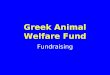 Greek Animal Welfare Fund Fundraising. Volunteers Never doubt that a small group of thoughtful citizens can change the world. Indeed it is the only thing