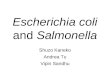 Shuzo Kaneko Andrea Tu Vipin Sandhu Escherichia coli and Salmonella