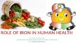 ROLE OF IRON IN HUMAN HEALTH Arun Malik and Hariom Yadav NATIONAL AGRI-FOOD BIOTECHNOLOGY INSTITUTE, MOHALI, PUNJAB, INDIA Email: yadavhariom@gmail.comyadavhariom@gmail.com