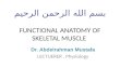 FUNCTIONAL ANATOMY OF SKELETAL MUSCLE Dr. Abdelrahman Mustafa LECTUERER, Physiology
