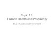 Topic 11: Human Health and Physiology 11.2 Muscles and Movement