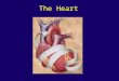 The Heart. Functions of the Heart The heart works in conjunction with cardiovascular centers and peripheral blood vessels to achieve this goal The function