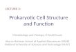 Prokaryotic Cell Structure and Function LECTURE 3: Microbiology and Virology; 3 Credit hours Atta-ur-Rahman School of Applied Biosciences (ASAB) National