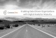 Enabling Data-Driven Organizations with Digital Analytics Maturity