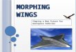 Shaping a New Future for Aerospace Vehicles M ORPHING WINGS