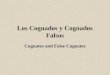 Los Cognados y Cognados Falsos Cognates and False Cognates