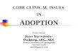 CORE CLINICAL ISSUES IN ADOPTION Presented by Joan Normandy-Dolberg, LPC, NCC Family Counseling of Springfield 703-569-1300 jdolberg@cox.net