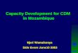 Capacity Development for CDM Capacity Development for CDM in Mozambique Njeri Wamukonya Side Event June10 2003