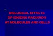 BIOLOGICAL EFFECTS OF IONIZING RADIATION AT MOLECULES AND CELLS