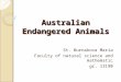 Australian Endangered Animals St. Burnakova Maria Faculty of natural science and mathematic gr. 13190