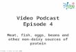 © Food – a fact of life 2009 Video Podcast Episode 4 Meat, fish, eggs, beans and other non-dairy sources of protein