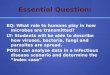 Essential Question: EQ: What role to humans play in how microbes are transmitted? LT: Students will be able to describe how viruses, bacteria, fungi and
