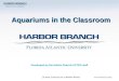 Aquariums in the Classroom Developed by the Harbor Branch ACTED staff