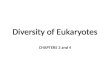 Diversity of Eukaryotes CHAPTERS 3 and 4. The Mind-Boggling Diversity of Life The Eukarya domain contains four kingdoms – Protista – Plantae – Fungi –