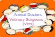 Vetinary Surgeons (Vets) Animal Doctors Vetinary Surgeons (Vets)