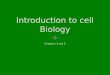 Cell Structure and Function Chapter 4 Table of ContentsTable of Contents Section 1 The History of Cell Biology Section 2 Introduction to Cells Section