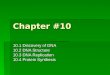 Chapter #10 10.1 Discovery of DNA 10.2 DNA Structure 10.3 DNA Replication 10.4 Protein Synthesis