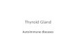 Thyroid Gland Autoimmune diseases. Function: Endocrine gland that produces secretes thyroid hormones